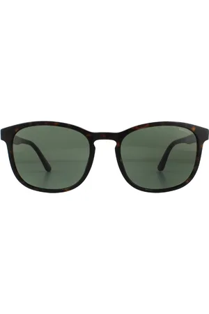 Police Square Shiny Havana Green Sunglasses - - One Size