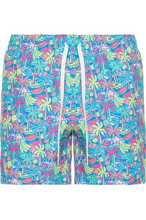 Chubbies The Tropical Bunches 5.5 Swim Short in . Size S, XL/1X.