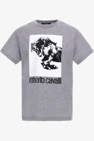 Roberto Cavalli T-shirt With Horse Logo And Print - Male T-shirts And Polos S