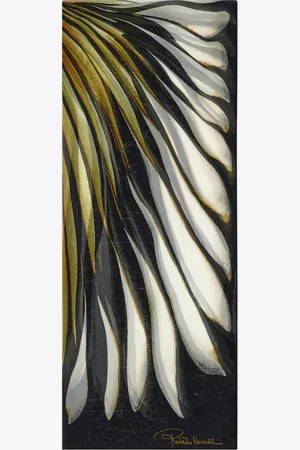 Roberto Cavalli Ray Of Print Scarf - Female Scarves & Silks Unica