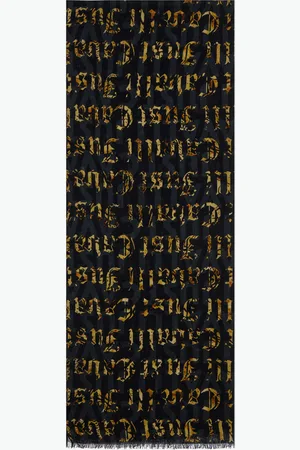 Roberto Cavalli Just Cavalli Logo Scarf - Female Accessories Unica