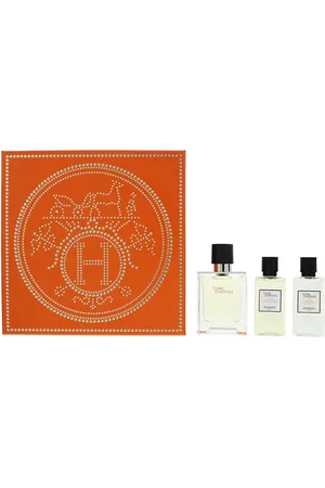Hermès Mens Terre D