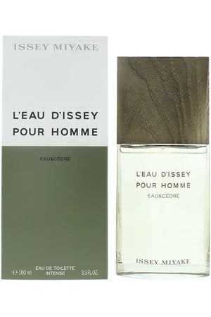 Issey Miyake Mens L