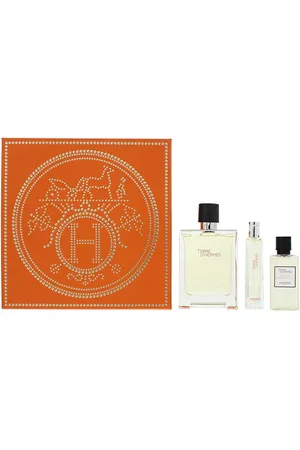 Hermès Mens Terre D