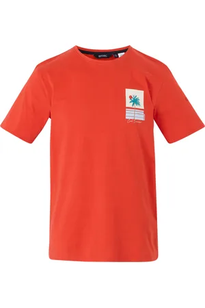 Regatta Mens Cline IX Cool Summer T-Shirt (Poppy ) - Size 5XL