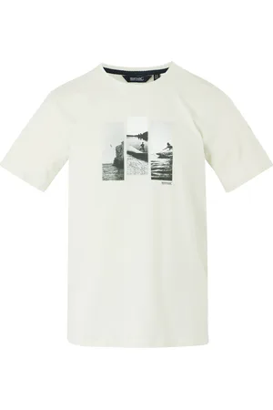 Regatta Mens Cline IX Photograph T-Shirt (Stone ) - Size Small