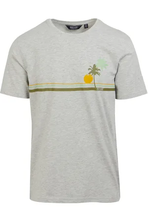 Regatta Mens Cline VIII Sunset Marl T-Shirt (Silver ) - Size Medium