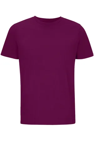 Sols Unisex Adult Legend Organic T-Shirt (Astral ) - Size X-Small