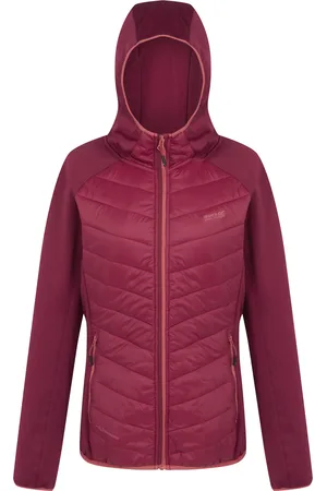 Regatta Womens/Ladies Andreson VIII Hybrid Jacket (Rumba ) - Size 10 UK