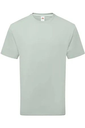 Fruit Of The Loom Unisex Adult Cotton T-Shirt (Sage) - - Size Large