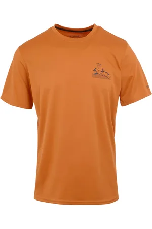 Regatta Mens Fingal IX Logo T-Shirt (Fox) - - Size Large