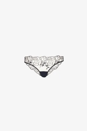 BlueBella Womens Rosalie Embroidered Mesh Brief