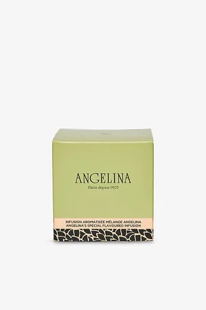 ANGELINA Infusion Melange Special Flavoured Tea Pack Of 20
