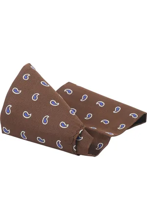 Suitable Silk Necktie Paisley