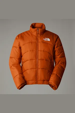 The North Face Men’s 2000 Synthetic Puffer Jacket Size L male