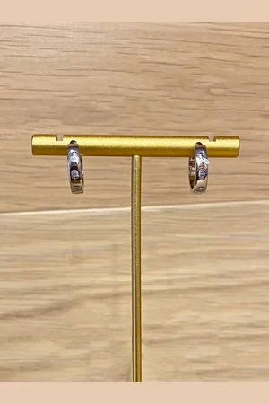 Envy Small Hoop Earrings