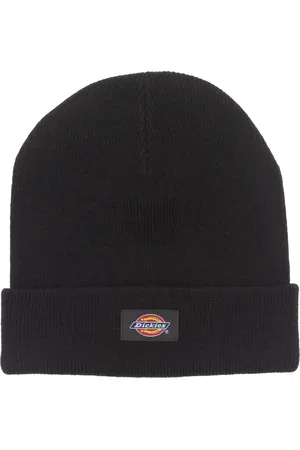 Dickies Gibsland Beanie In Dark
