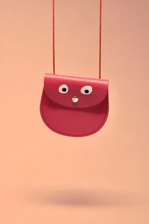 Ark Colour Design Googly Eye Pocket Purse In New