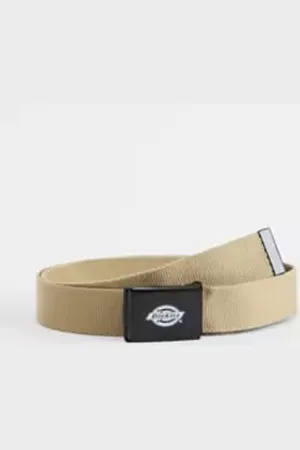 Dickies Khaki Orcutt Belt