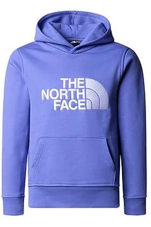 The North Face Boys Drew Peak Pullover Hoodie
