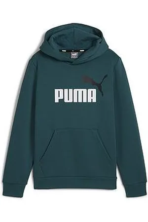 PUMA Boys Essentials+ Logo Hoodie Fleece