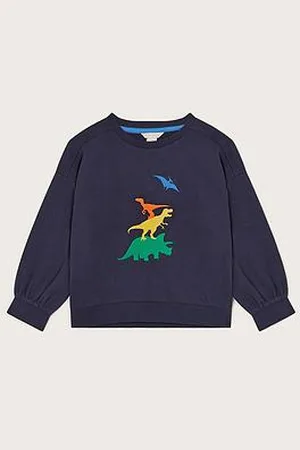 Monsoon Boys Embroidered Dinosaur Sweatshirt