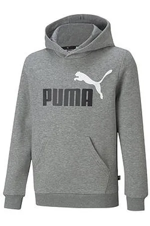 PUMA Boys Essentials+ Logo Hoodie Fleece