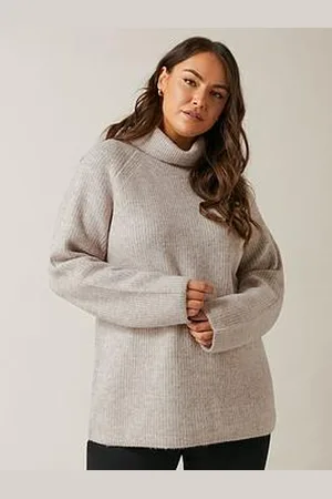 Evans Roll Neck Raglan Jumper