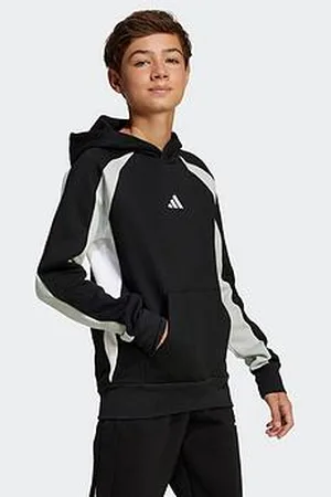 adidas Junior Boys Seasonal Essentials Colorblock Fleece Hoodie - Black