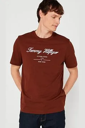 Tommy Hilfiger Regular Fit Embroided Script Logo T-Shirt