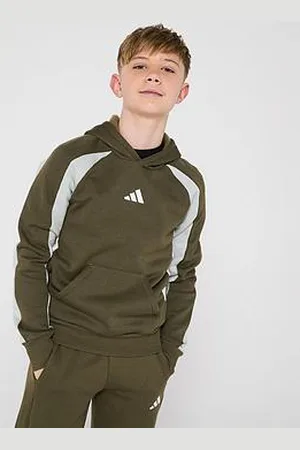 adidas Junior Boys Seasonal Essentials Colour Block Fleece Hoodie - Green