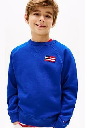 Tommy Hilfiger Boys Flag Relaxed Sweatshirt