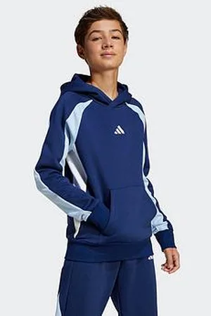 adidas Junior Boys Seasonal Essentials Colorblock Fleece Hoodie - Blue